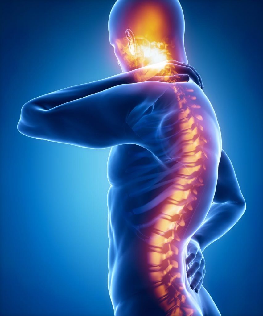Understanding The Levels Of Spinal Cord Injury