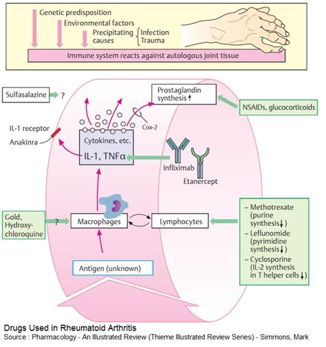 Comprehensive Guide to Rheumatoid Arthritis Drugs