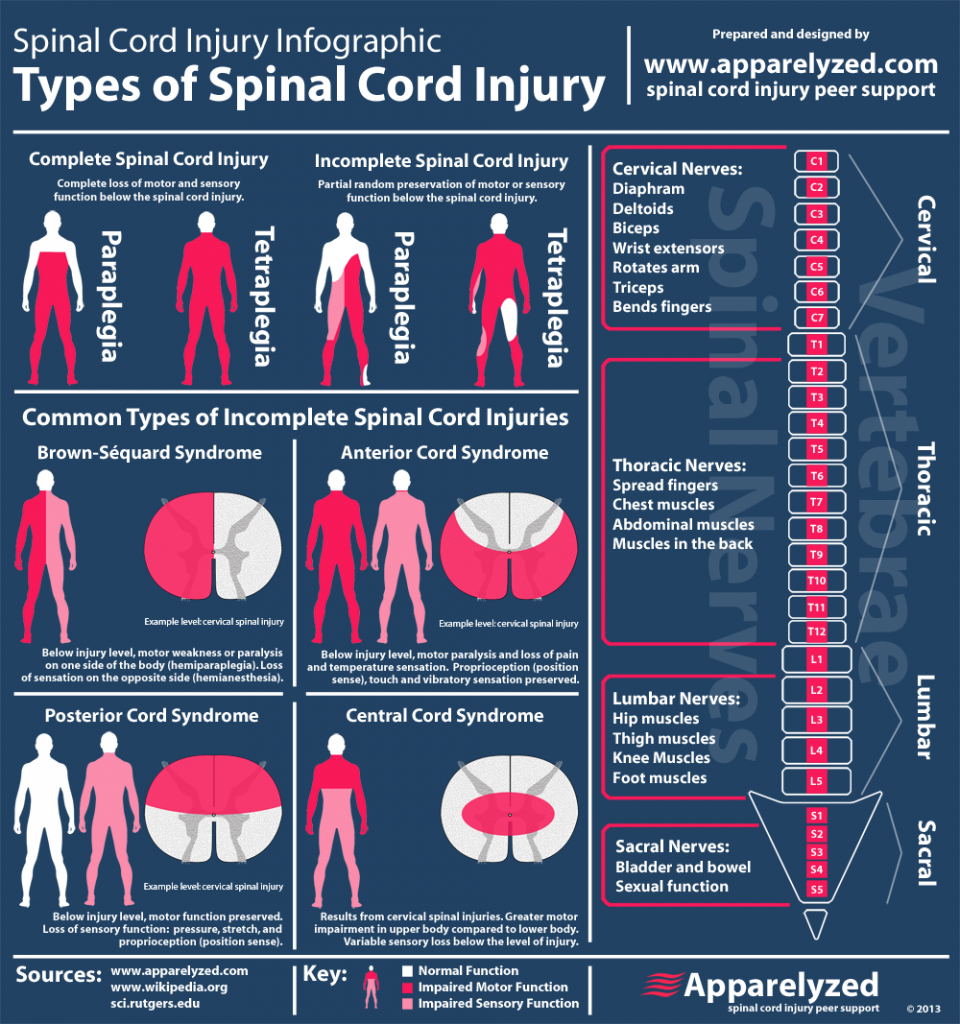 Understanding Different Types of Spinal Cord Injuries