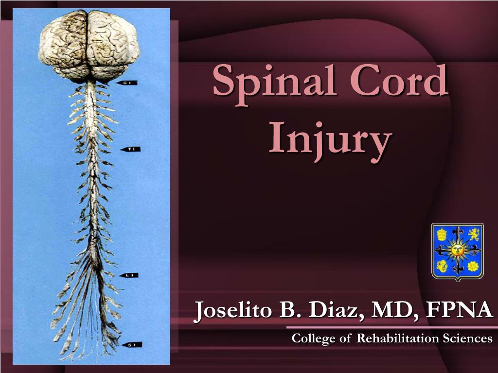 Understanding Spinal Cord Injury: Classification, Effects, and Management