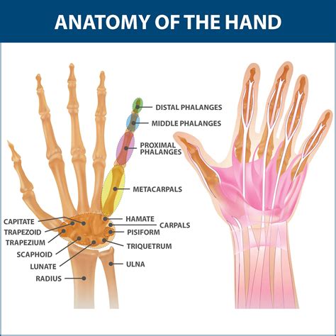 Understanding Rheumatoid Arthritis: Symptoms, Causes, and Treatment ...